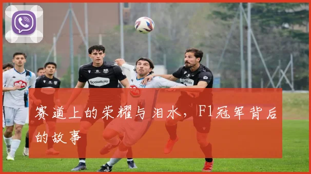 赛道上的荣耀与泪水，F1冠军背后的故事