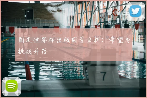 国足世界杯出线前景分析:希望与挑战并存
