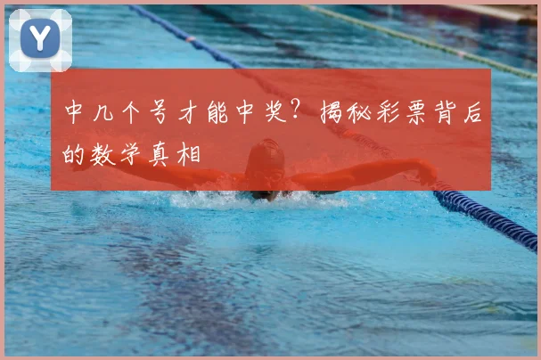 中几个号才能中奖?揭秘彩票背后的数学真相
