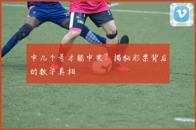 中几个号才能中奖?揭秘彩票背后的数学真相