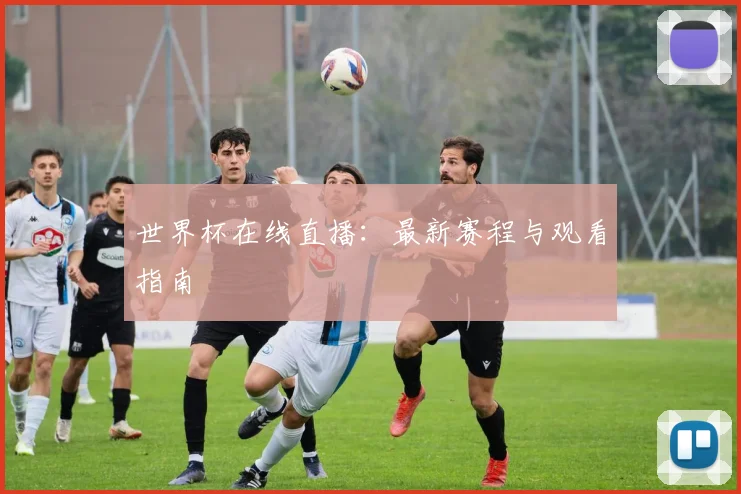 世界杯在线直播：最新赛程与观看指南